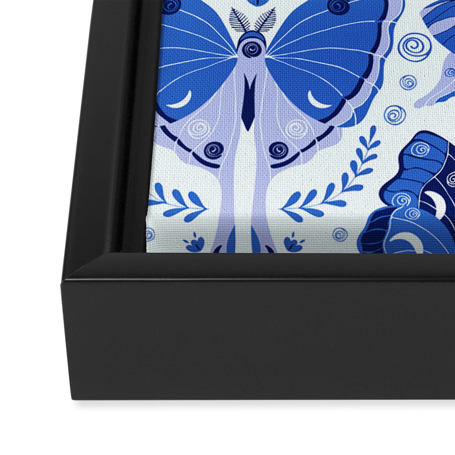 Vintage Blue Moths Framed Canvas Print Gallery Image 2