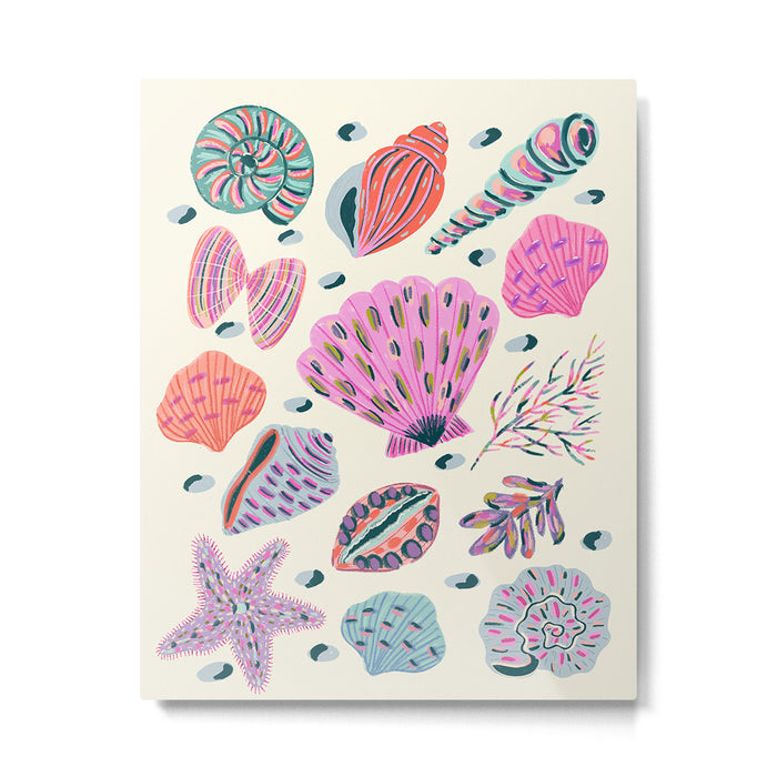 Colorful Seashell  Metal Print Gallery Image 1