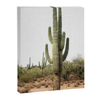 Arizona's Cactus Canvas Print Gallery Image 6