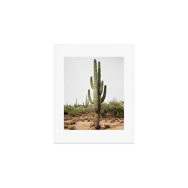 Arizona's Cactus Art Print Gallery Image 1