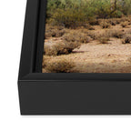 Arizona's Cactus Framed Canvas Print Gallery Image 3