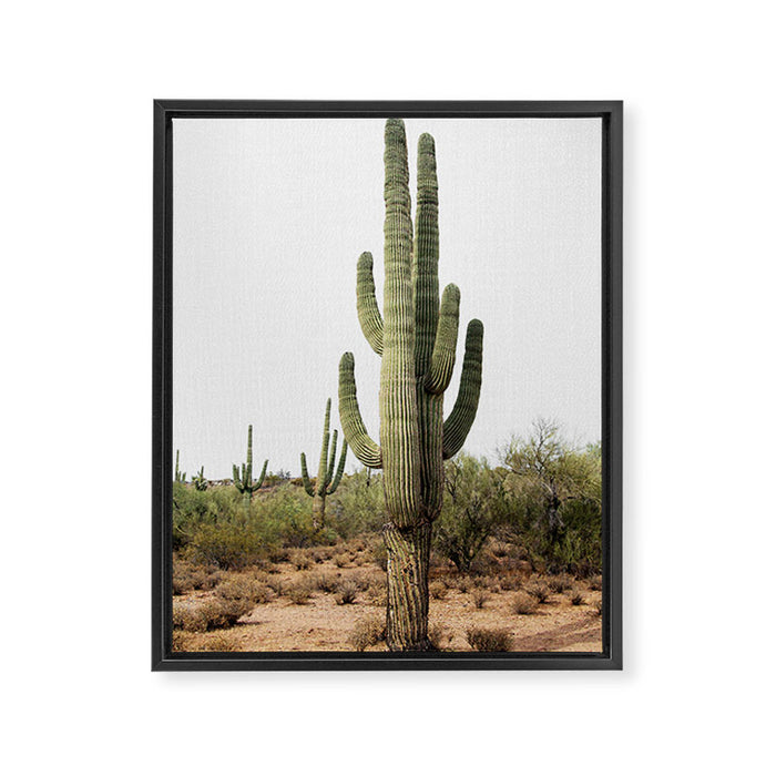 Arizona's Cactus Framed Canvas Print Gallery Image 1