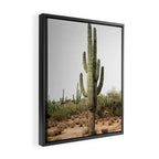 Arizona's Cactus Framed Canvas Print Gallery Image 2