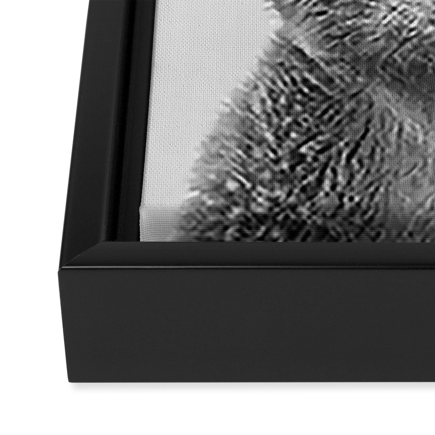 Baby Bear - Black & White Framed Canvas Print Gallery Image 3