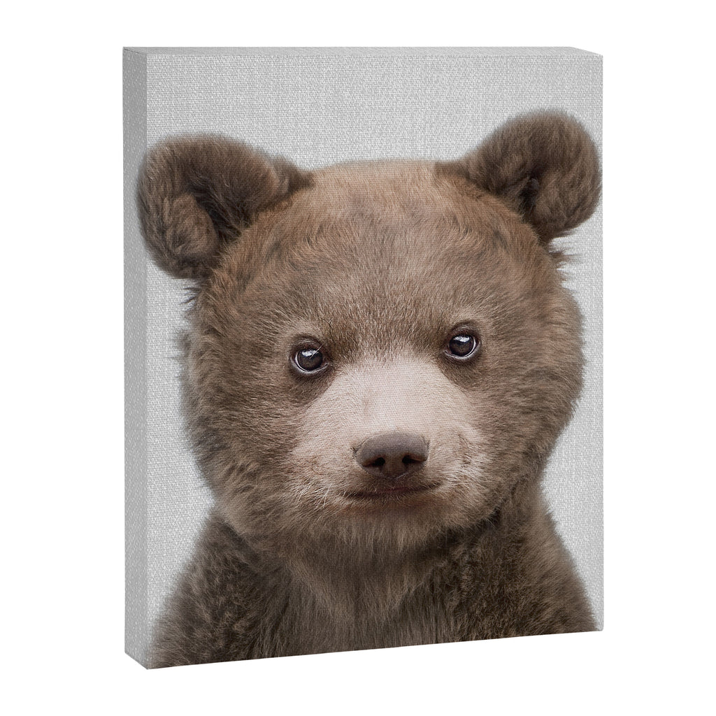 Baby Bear - Colorful Canvas Print Gallery Image 8