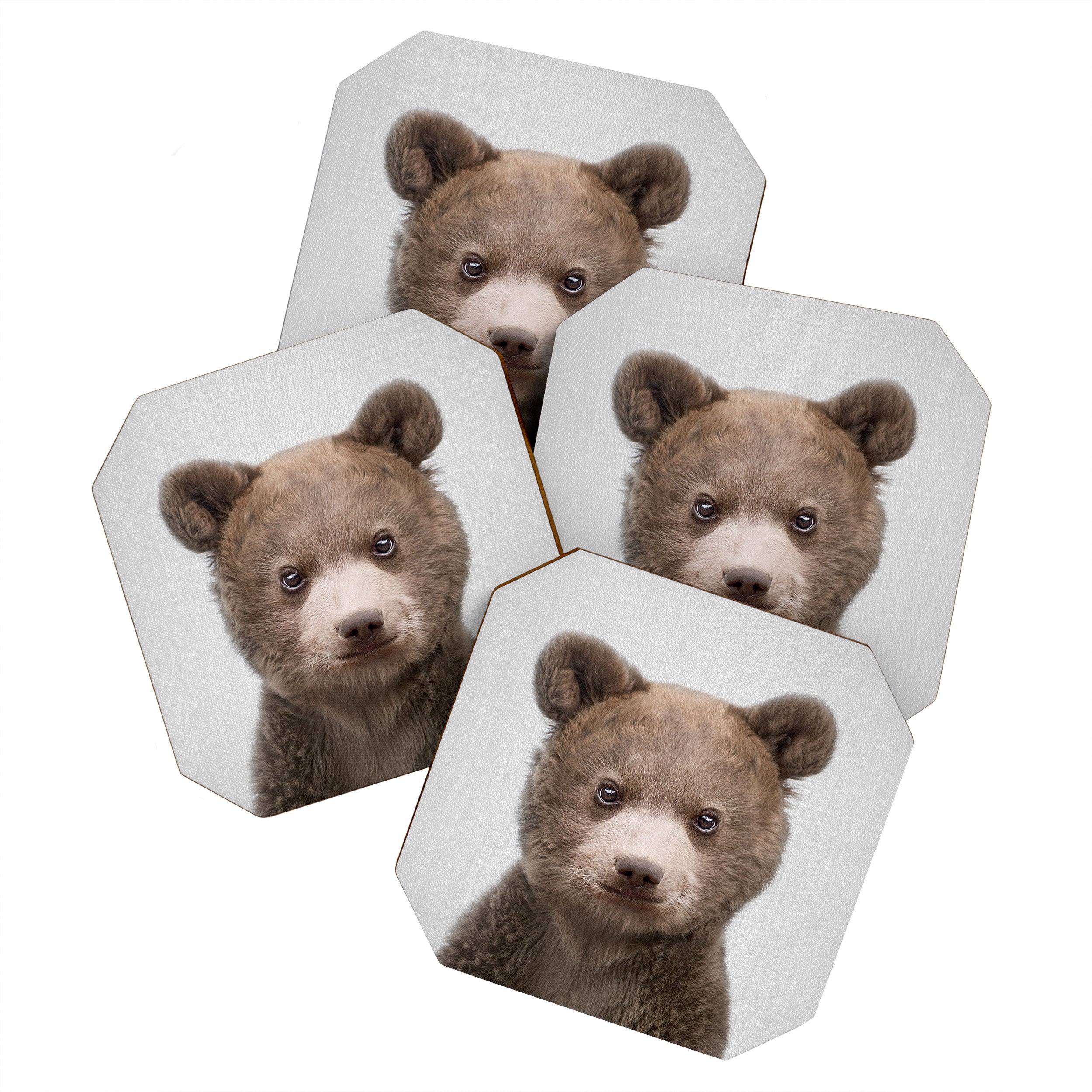 Baby Bear - Colorful Coaster Gallery Image 1