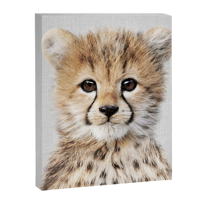 Baby Cheetah - Colorful Canvas Print Gallery Image 1