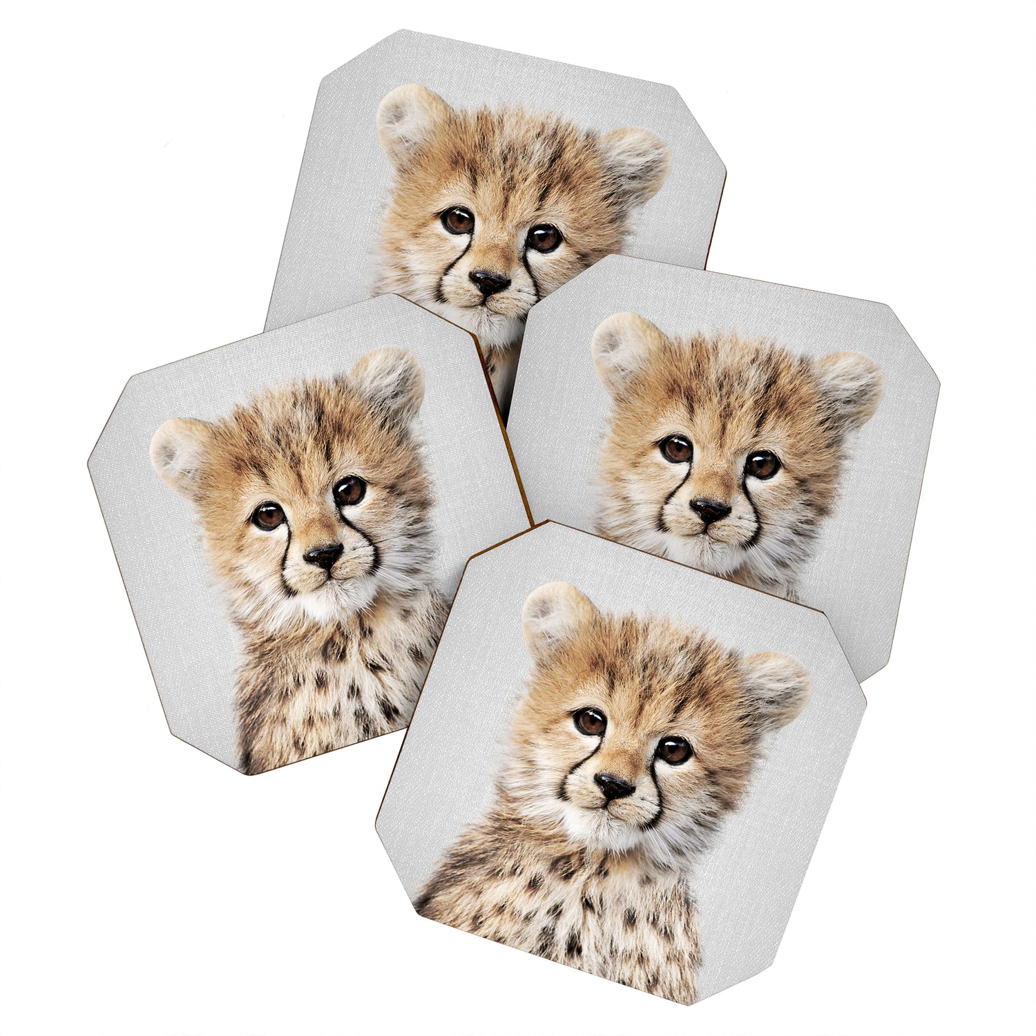 Baby Cheetah - Colorful Coaster Gallery Image 1