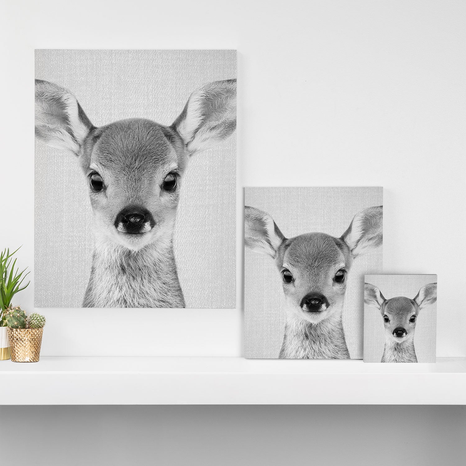 Baby Deer - Black & White Canvas Print Gallery Image 3