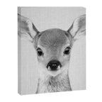 Baby Deer - Black & White Canvas Print Gallery Image 8