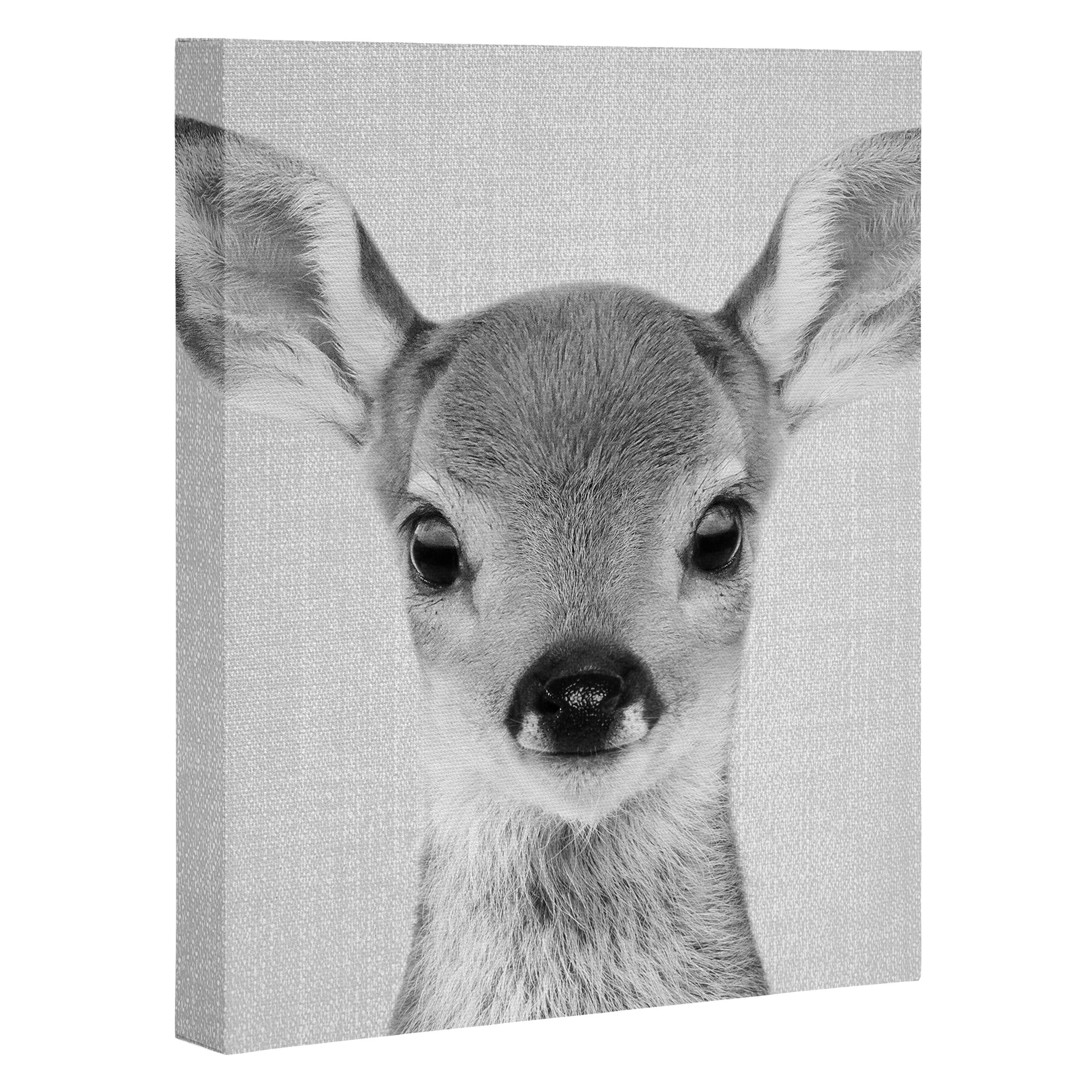 Baby Deer - Black & White Canvas Print Gallery Image 3
