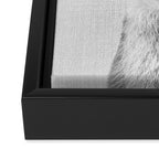 Baby Deer - Black & White Framed Canvas Print Gallery Image 3