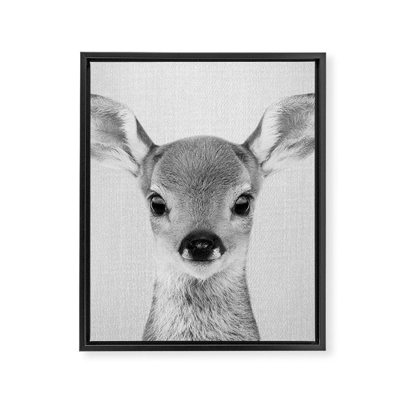 Baby Deer - Black & White Framed Canvas Print Gallery Image 8