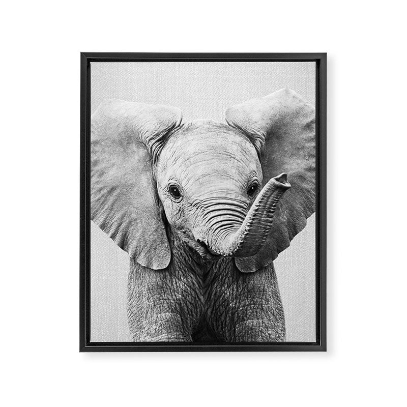 Baby Elephant - Black & White Framed Canvas Print Gallery Image 8