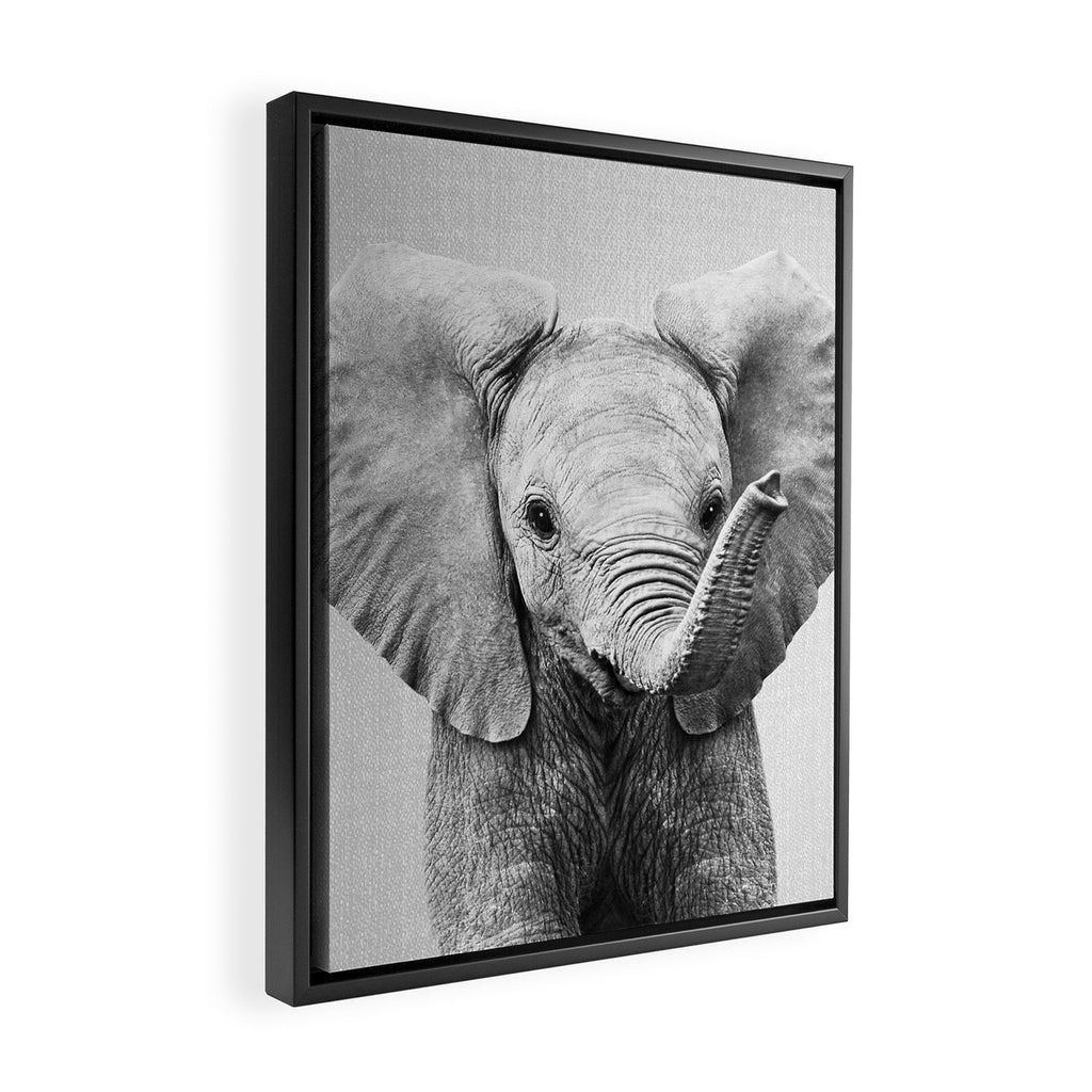 Baby Elephant - Black & White Framed Canvas Print Gallery Image 2