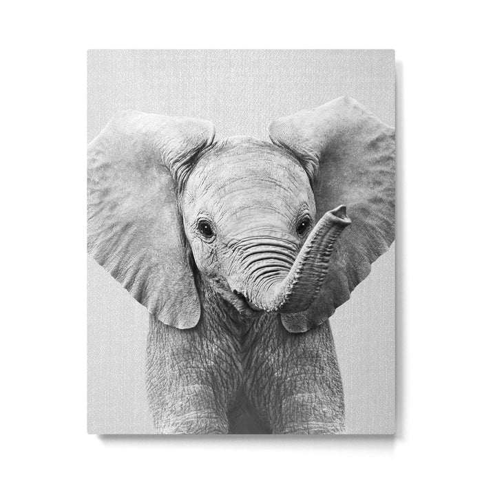 Baby Elephant - Black & White Metal Print Gallery Image 1
