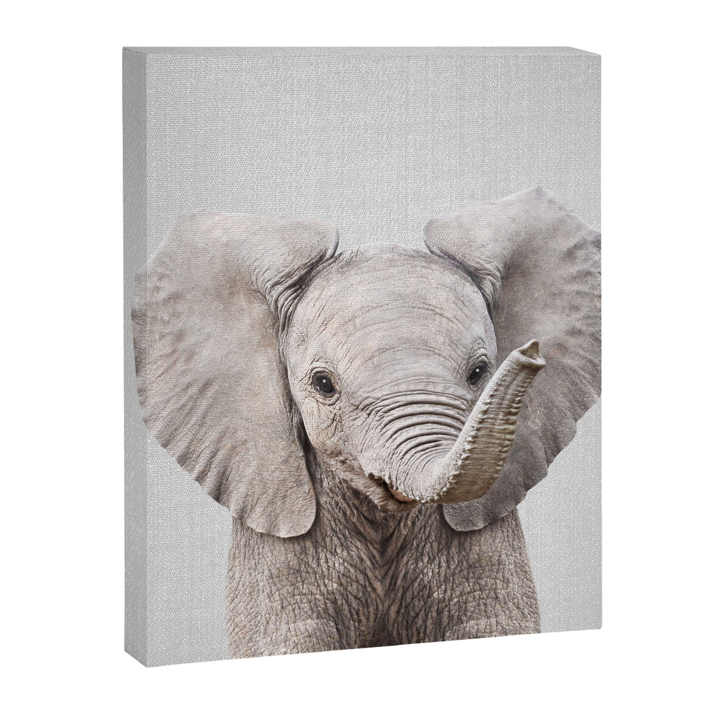 Baby Elephant - Colorful Canvas Print Gallery Image 8