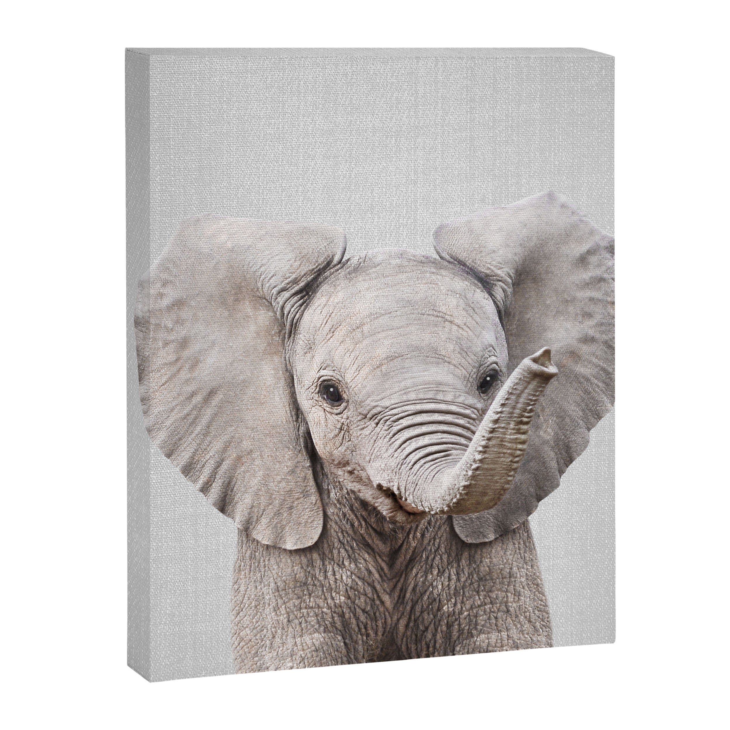 Baby Elephant - Colorful Canvas Print Gallery Image 8