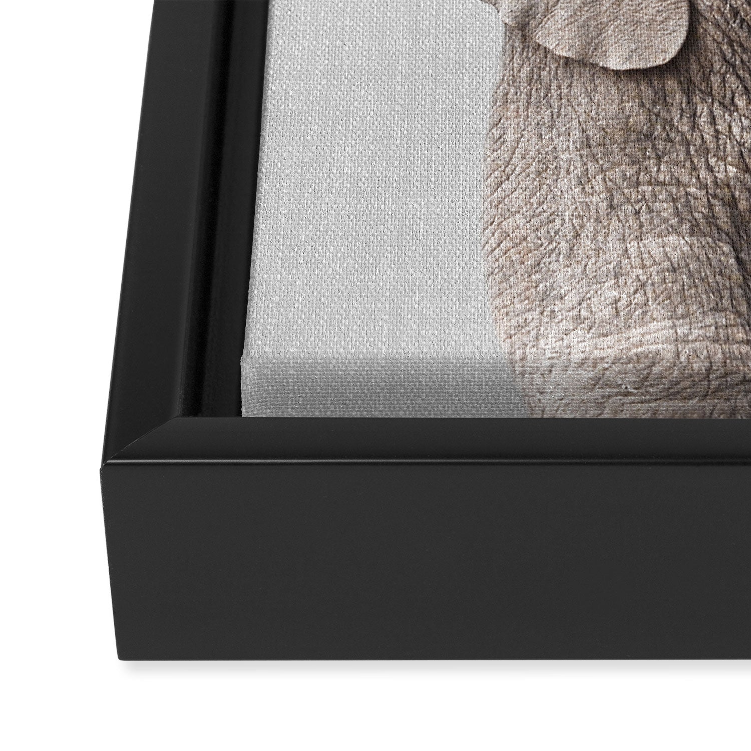 Baby Elephant - Colorful Framed Canvas Print Gallery Image 3