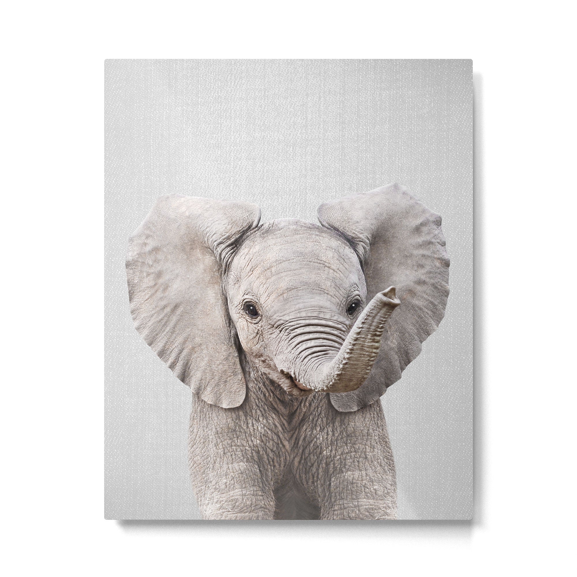 Baby Elephant - Colorful Metal Print Gallery Image 6
