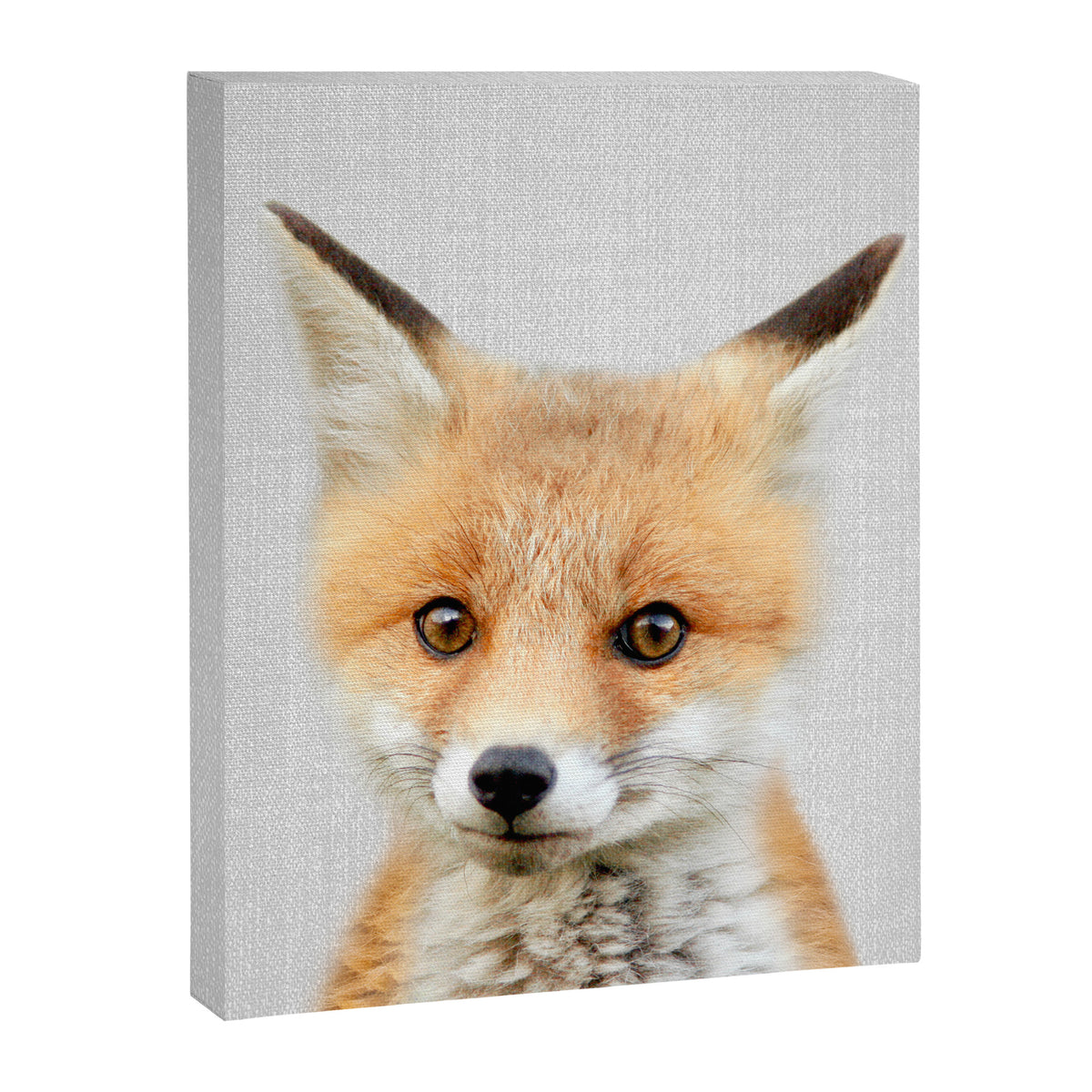 Baby Fox - Colorful Canvas Print Gallery Image 8