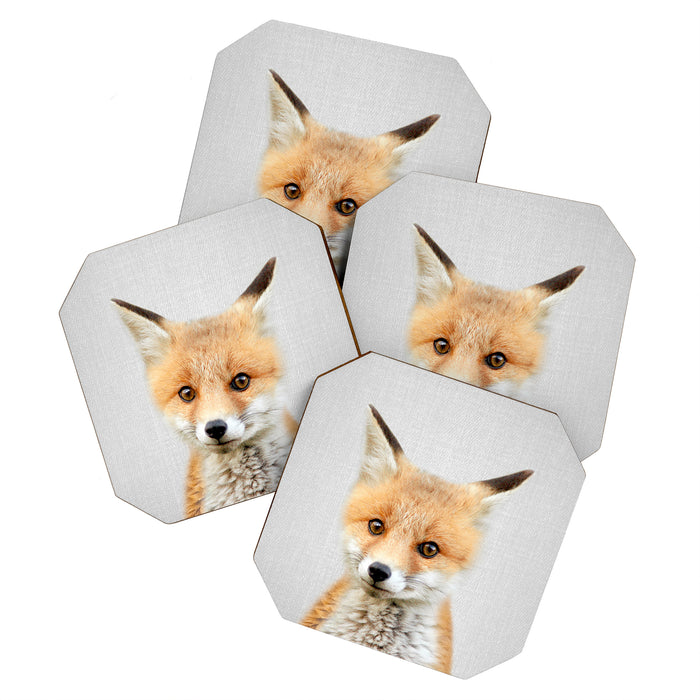 Baby Fox - Colorful Coaster Gallery Image 1