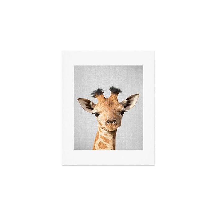 Baby Giraffe - Colorful Art Print Gallery Image 1