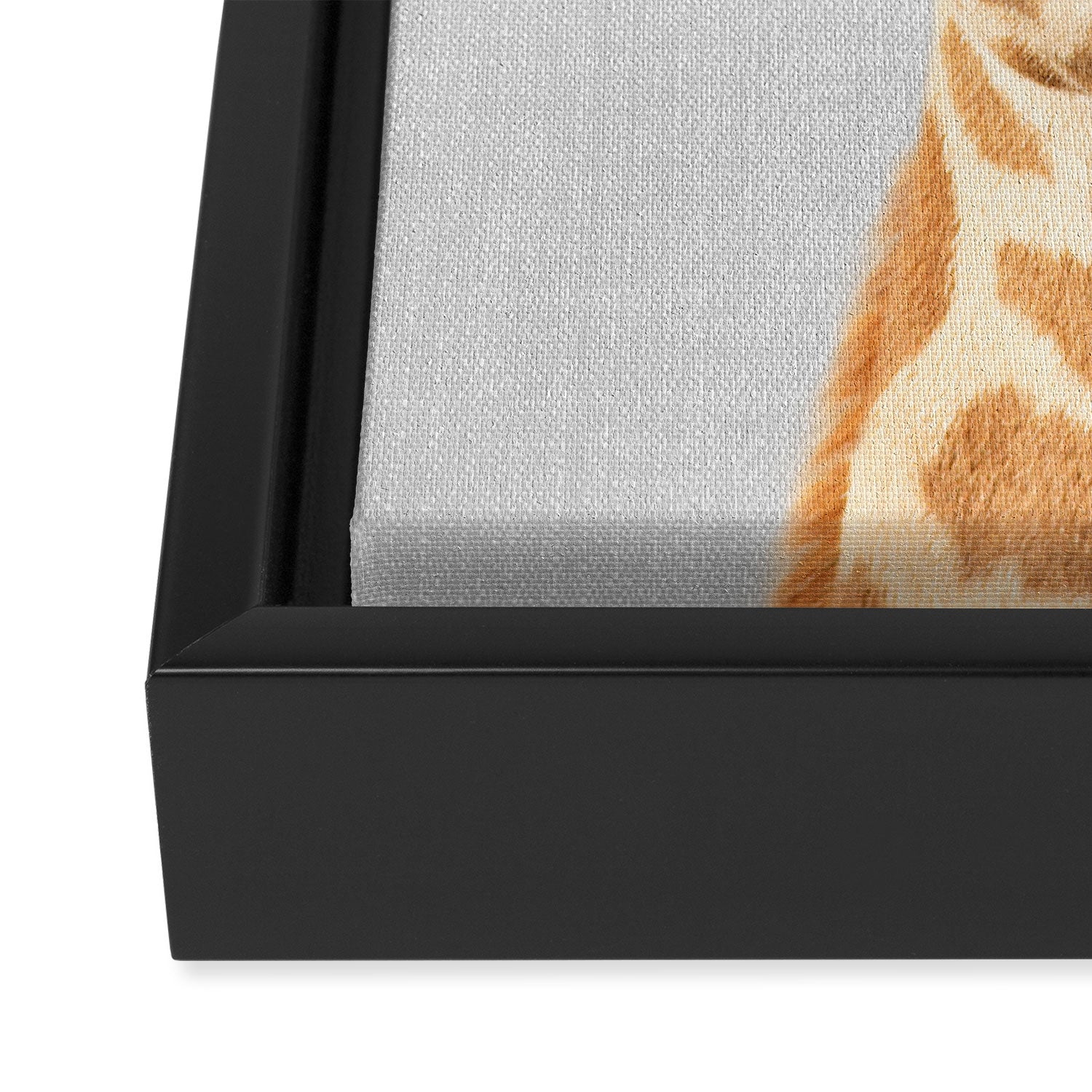 Baby Giraffe - Colorful Framed Canvas Print Gallery Image 3