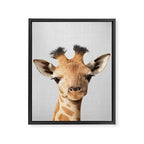 Baby Giraffe - Colorful Framed Canvas Print Gallery Image 8