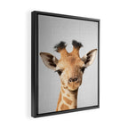 Baby Giraffe - Colorful Framed Canvas Print Gallery Image 2