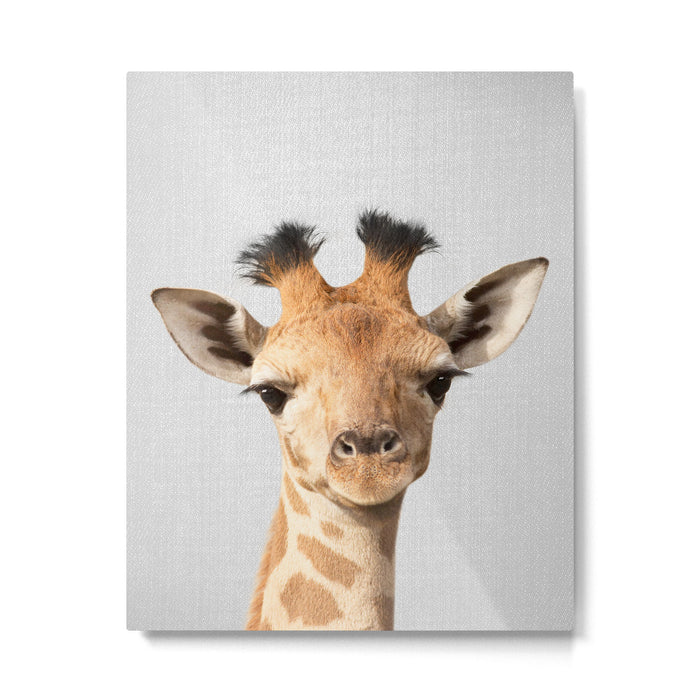 Baby Giraffe - Colorful Metal Print Gallery Image 1