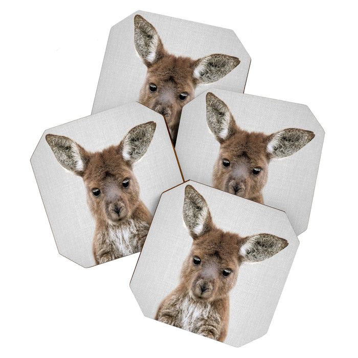 Baby Kangaroo Coaster Gallery Image 1
