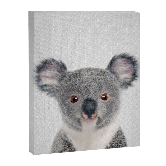 Baby Koala - Colorful Canvas Print Gallery Image 1