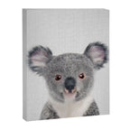 Baby Koala - Colorful Canvas Print Gallery Image 8