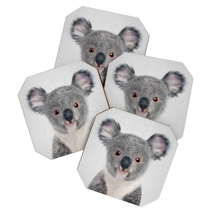 Baby Koala - Colorful Coaster Gallery Image 1