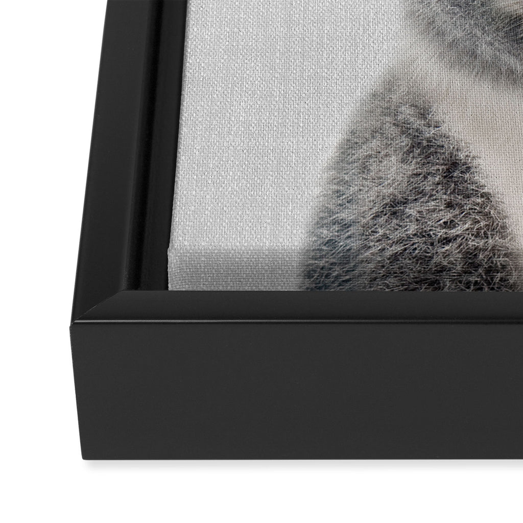 Baby Koala - Colorful Framed Canvas Print Gallery Image 3