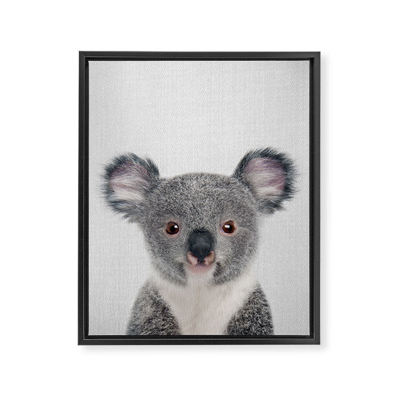 Baby Koala - Colorful Framed Canvas Print Gallery Image 8