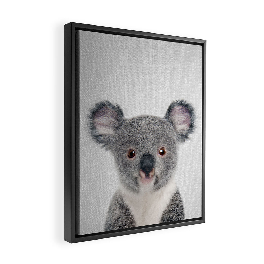 Baby Koala - Colorful Framed Canvas Print Gallery Image 2