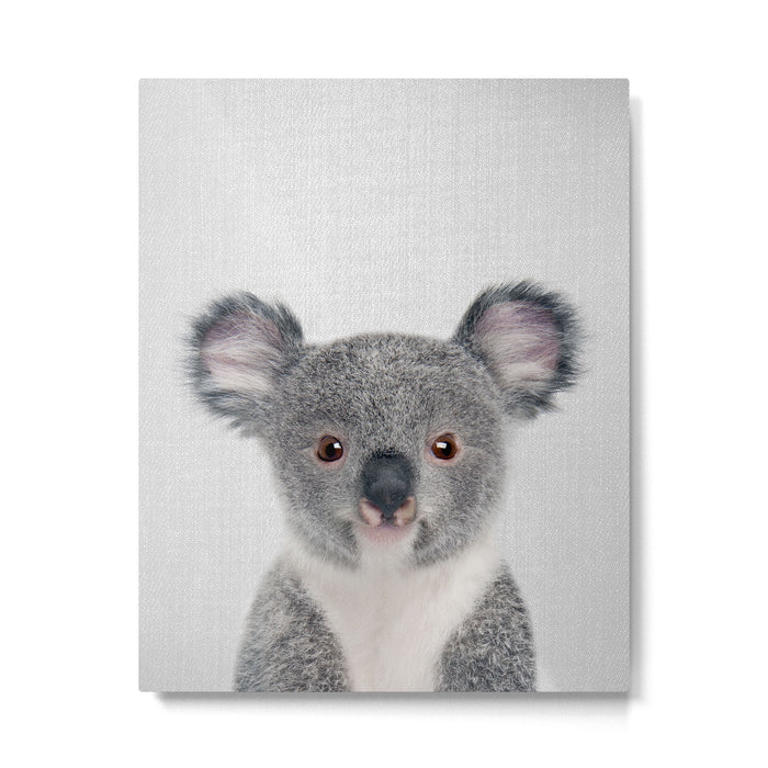 Baby Koala - Colorful Metal Print Gallery Image 1
