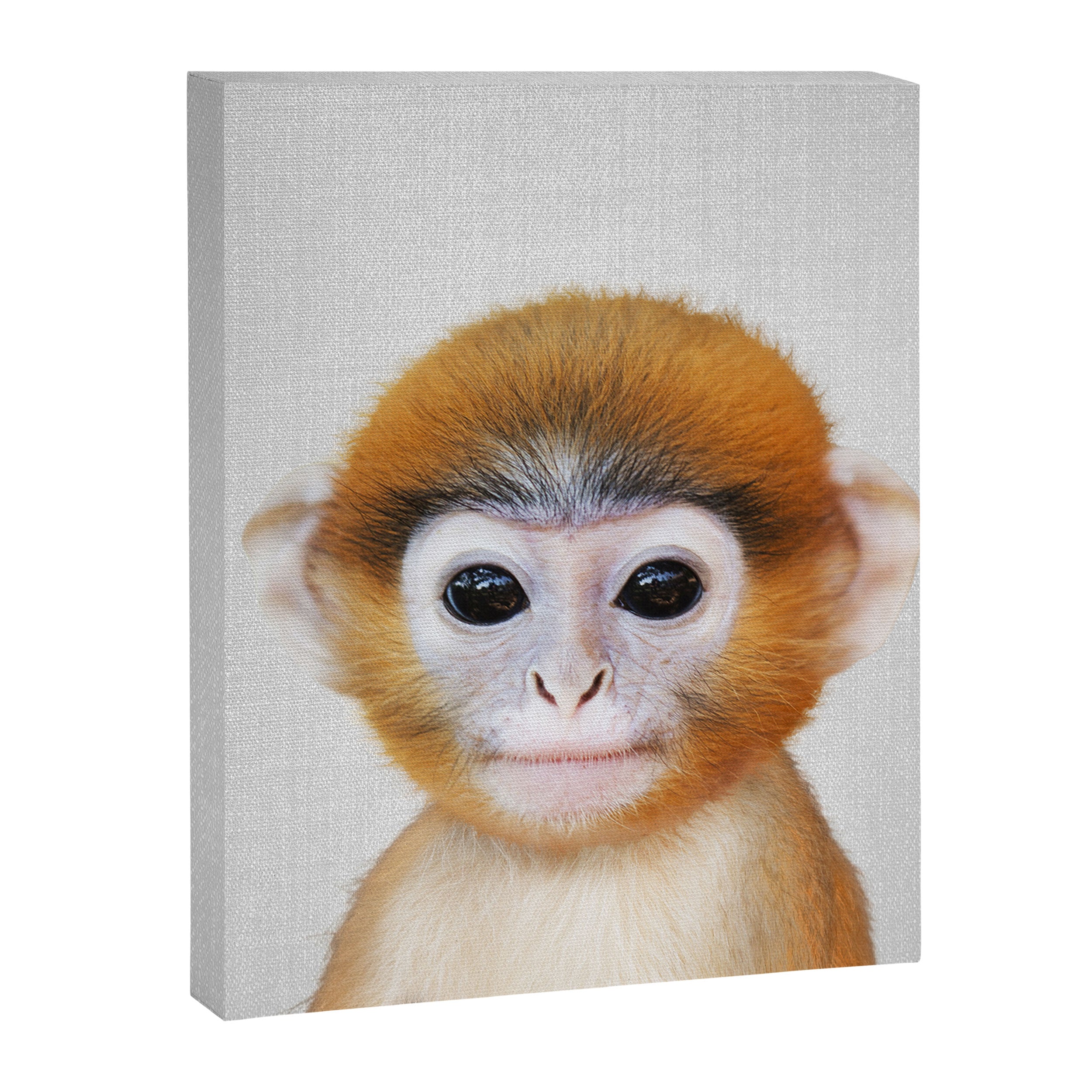 Baby Monkey - Colorful Canvas Print Gallery Image 8