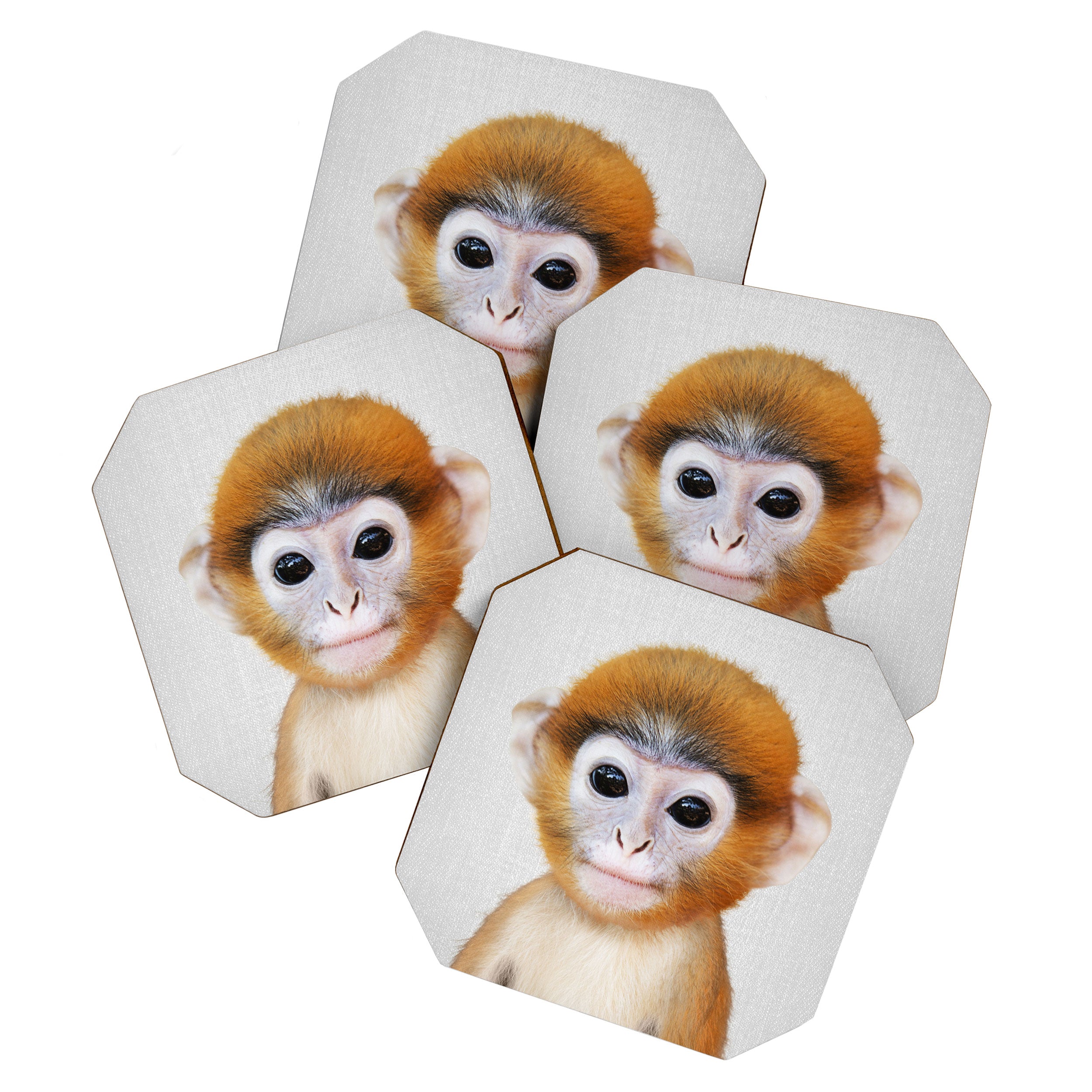 Baby Monkey - Colorful Coaster Gallery Image 1