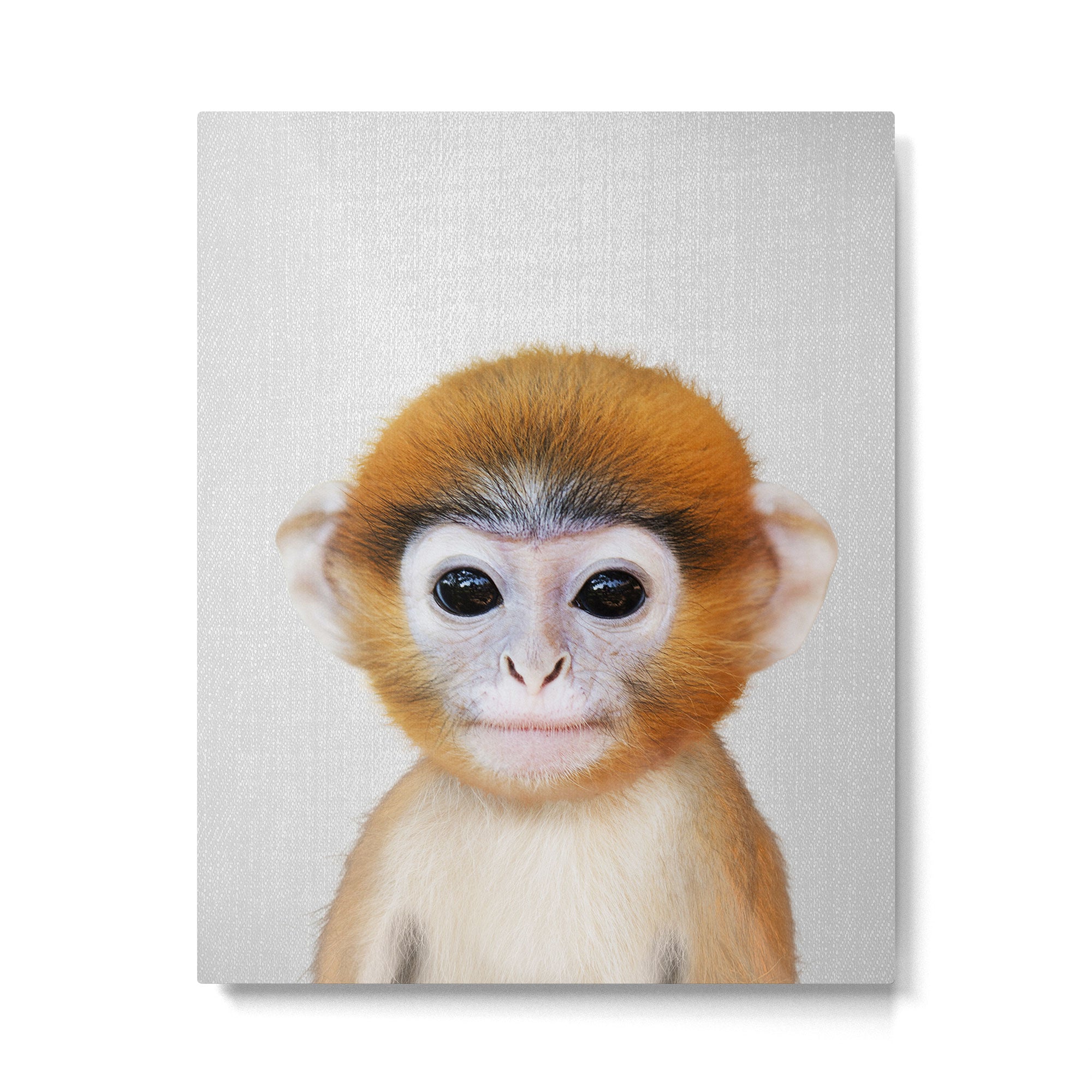 Baby Monkey - Colorful Metal Print Gallery Image 6