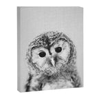 Baby Owl - Black & White Canvas Print Gallery Image 8
