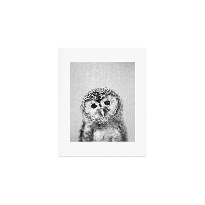 Baby Owl - Black & White Art Print Gallery Image 1