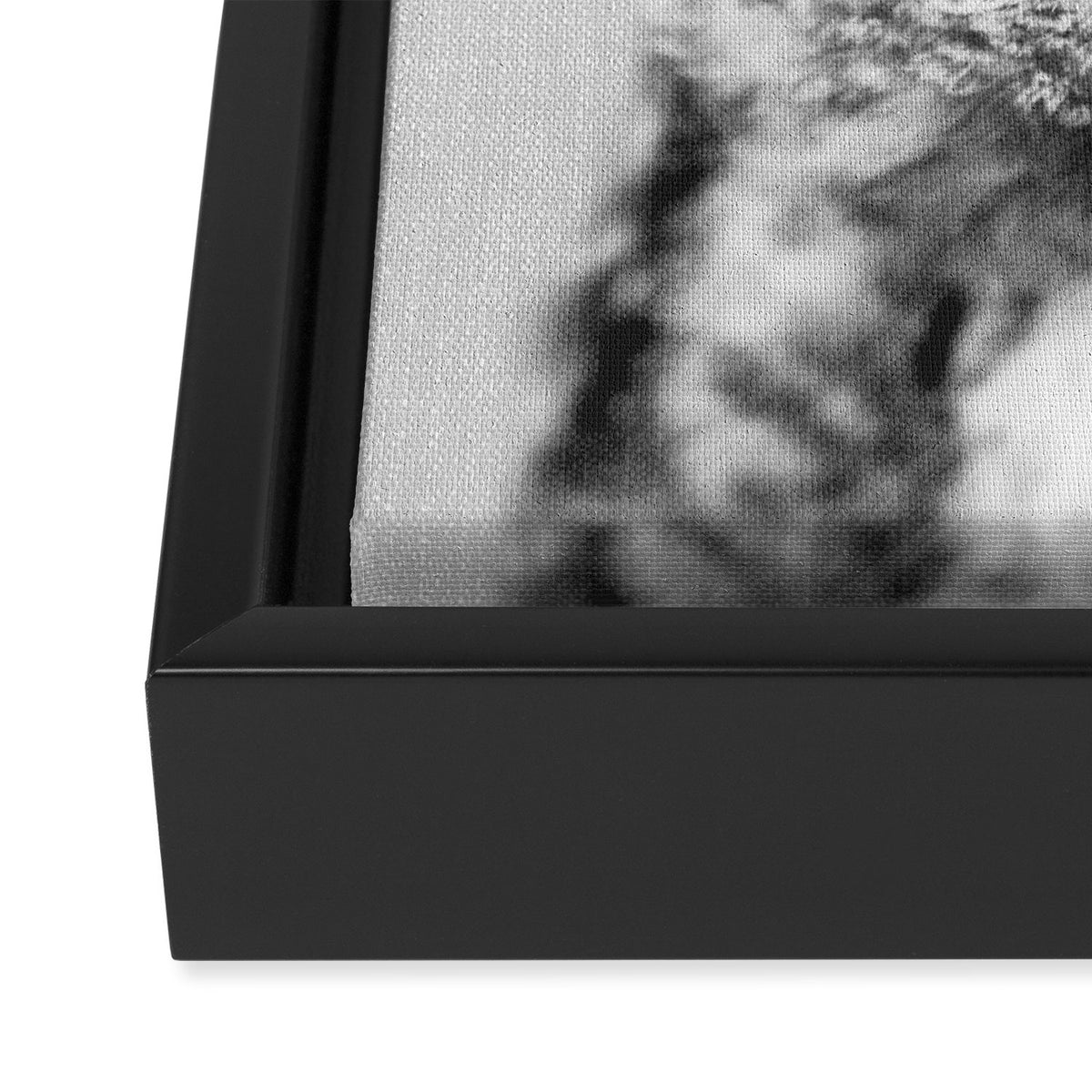 Baby Owl - Black & White Framed Canvas Print Gallery Image 3