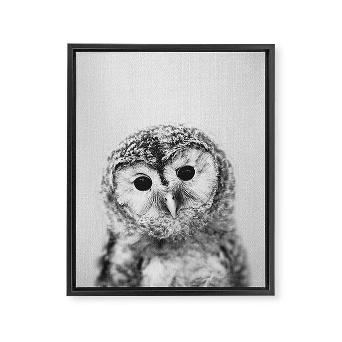 Baby Owl - Black & White Framed Canvas Print Gallery Image 1
