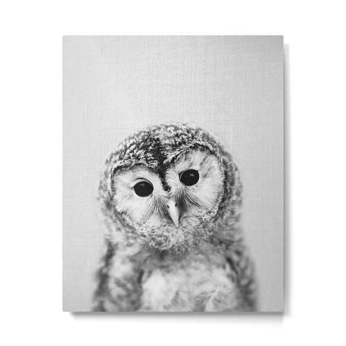 Baby Owl - Black & White Metal Print Gallery Image 1