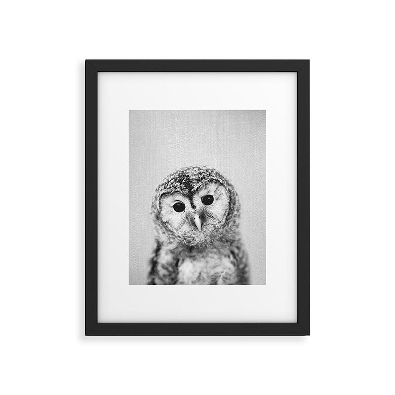 Baby Owl - Black & White Framed Art Print Gallery Image 6