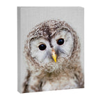 Baby Owl - Colorful Canvas Print Gallery Image 8