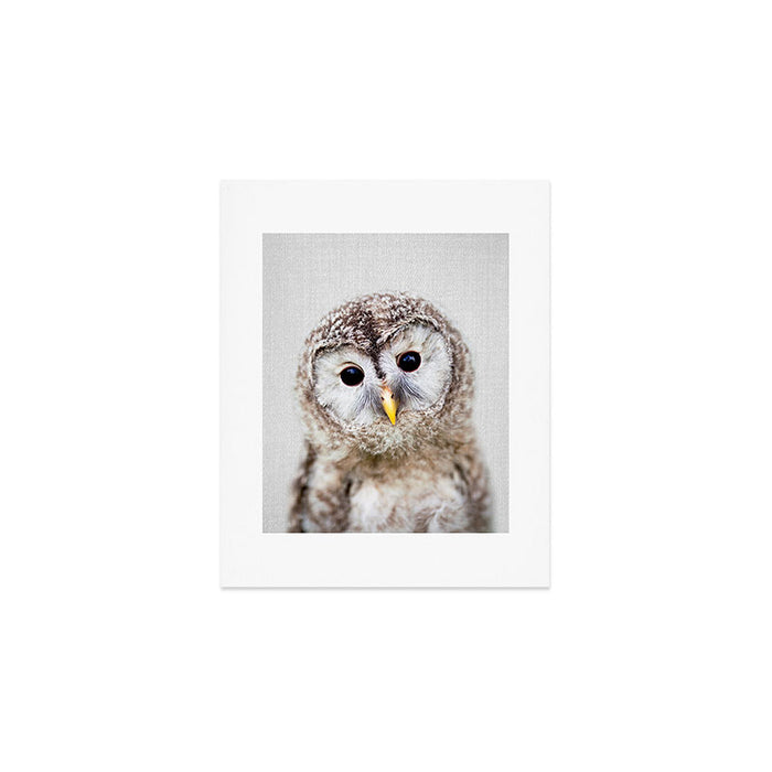 Baby Owl - Colorful Art Print Gallery Image 1